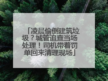 凌晨偷倒建筑垃圾？城管追查当场处理！司机带着罚单回来清理现场