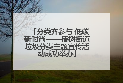 分类齐参与 低碳新时尚——椿树街道垃圾分类主题宣传活动成功举办