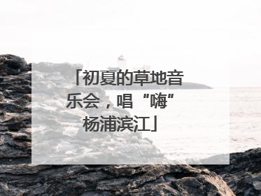 初夏的草地音乐会，唱“嗨”杨浦滨江