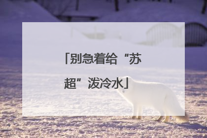 别急着给“苏超”泼冷水