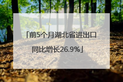 前5个月湖北省进出口同比增长26.9%