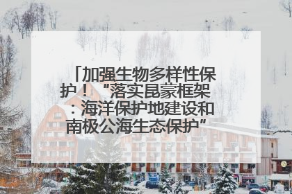 加强生物多样性保护！“落实昆蒙框架：海洋保护地建设和南极公海生态保护”主题论坛将举办