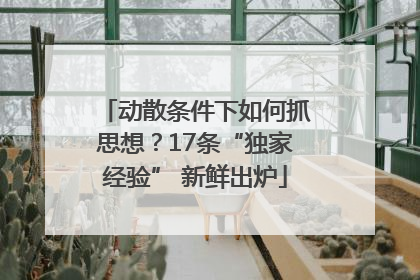 动散条件下如何抓思想？17条“独家经验” 新鲜出炉