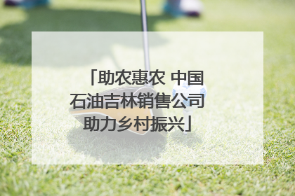 助农惠农 中国石油吉林销售公司助力乡村振兴