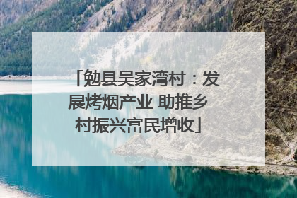 勉县吴家湾村：发展烤烟产业 助推乡村振兴富民增收