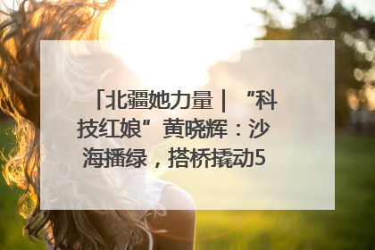 北疆她力量｜“科技红娘”黄晓辉：沙海播绿，搭桥撬动5.3亿研发