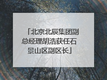 北京北辰集团副总经理胡浩获任石景山区副区长