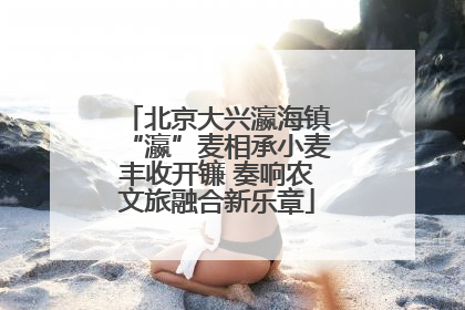 北京大兴瀛海镇“瀛”麦相承小麦丰收开镰 奏响农文旅融合新乐章