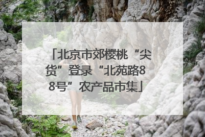 北京市郊樱桃“尖货”登录“北苑路88号”农产品市集