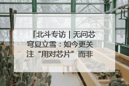 北斗专访｜无问芯穹夏立雪：如今更关注“用对芯片”而非“用贵芯片”