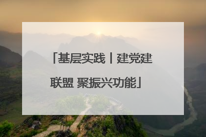 基层实践丨建党建联盟 聚振兴功能