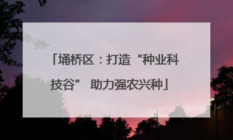 埇桥区：打造“种业科技谷” 助力强农兴种