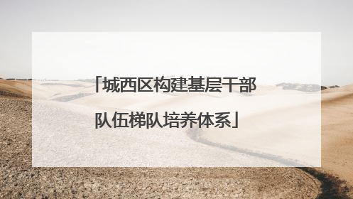 城西区构建基层干部队伍梯队培养体系