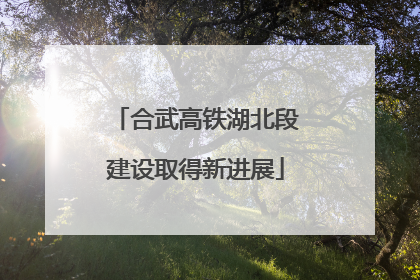 合武高铁湖北段建设取得新进展