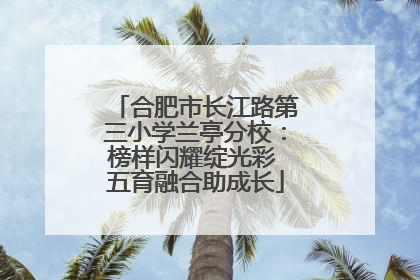 合肥市长江路第三小学兰亭分校：榜样闪耀绽光彩 五育融合助成长