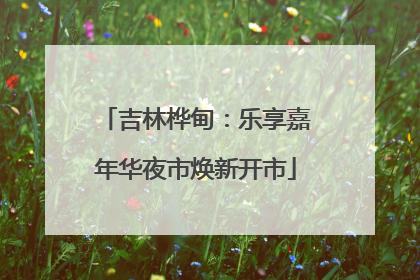吉林桦甸：乐享嘉年华夜市焕新开市