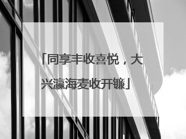 同享丰收喜悦，大兴瀛海麦收开镰