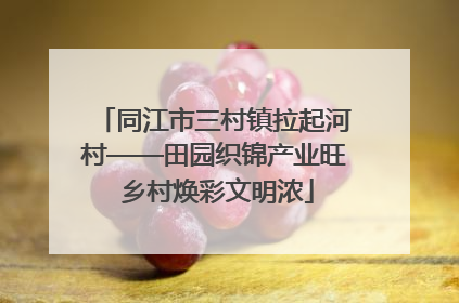 同江市三村镇拉起河村——田园织锦产业旺 乡村焕彩文明浓