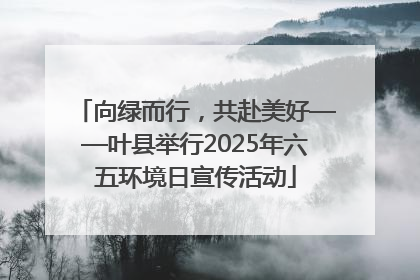 向绿而行，共赴美好——叶县举行2025年六五环境日宣传活动