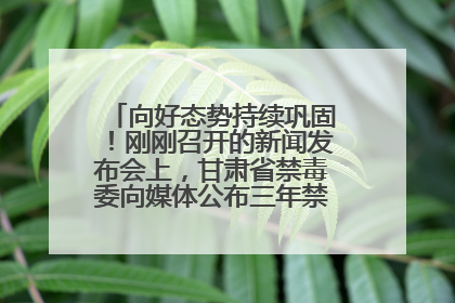 向好态势持续巩固！刚刚召开的新闻发布会上，甘肃省禁毒委向媒体公布三年禁毒工作“成绩单”