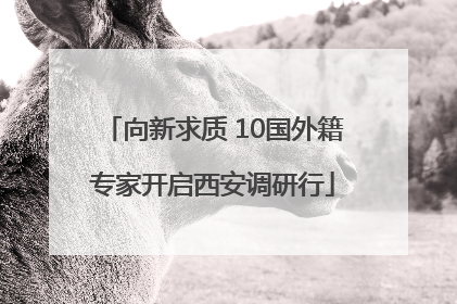 向新求质 10国外籍专家开启西安调研行