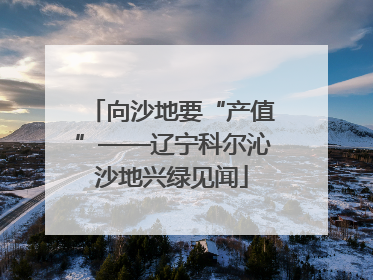 向沙地要“产值”——辽宁科尔沁沙地兴绿见闻