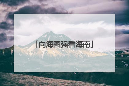 向海图强看海南