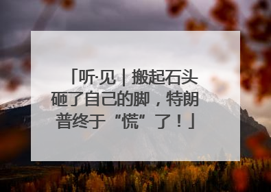 听·见｜搬起石头砸了自己的脚，特朗普终于“慌”了！