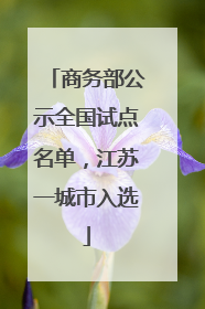 商务部公示全国试点名单，江苏一城市入选