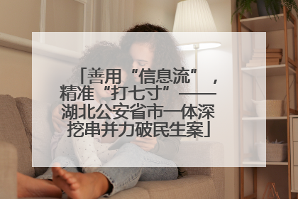 善用“信息流”，精准“打七寸”——湖北公安省市一体深挖串并力破民生案