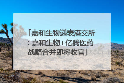 嘉和生物递表港交所：嘉和生物+亿腾医药战略合并即将收官