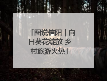 图说信阳｜向日葵花绽放 乡村旅游火热