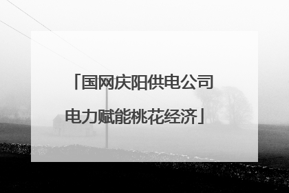 国网庆阳供电公司电力赋能桃花经济