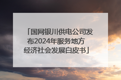 国网银川供电公司发布2024年服务地方经济社会发展白皮书