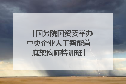 国务院国资委举办中央企业人工智能首席架构师特训班