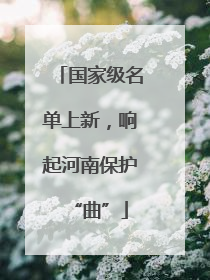 国家级名单上新，响起河南保护“曲”