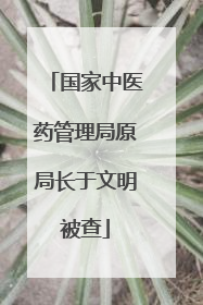 国家中医药管理局原局长于文明被查