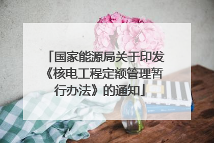 国家能源局关于印发《核电工程定额管理暂行办法》的通知