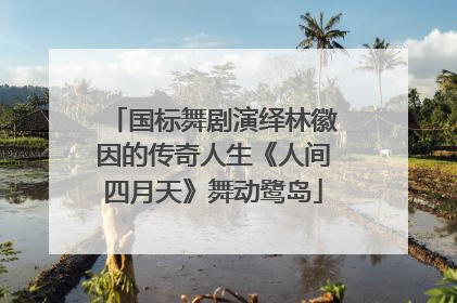 国标舞剧演绎林徽因的传奇人生《人间四月天》舞动鹭岛