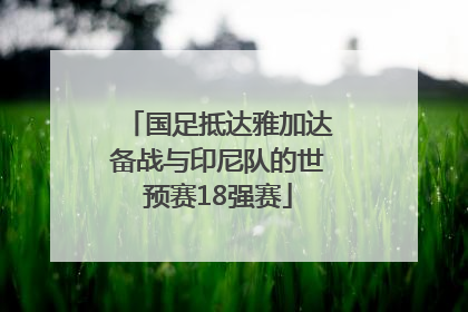 国足抵达雅加达备战与印尼队的世预赛18强赛