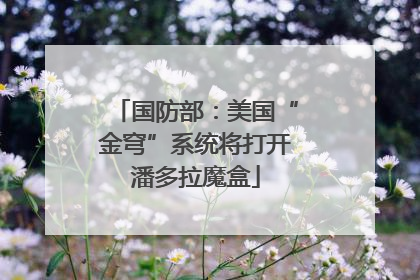 国防部：美国“金穹”系统将打开潘多拉魔盒