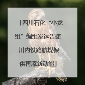 四川石化“小龙组”编组发运告捷 川内铁路航煤保供再添新动能