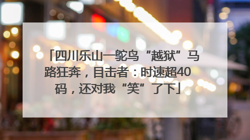 四川乐山一鸵鸟“越狱”马路狂奔，目击者：时速超40码，还对我“笑”了下
