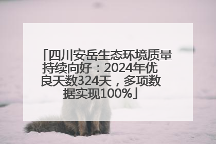 四川安岳生态环境质量持续向好：2024年优良天数324天，多项数据实现100%