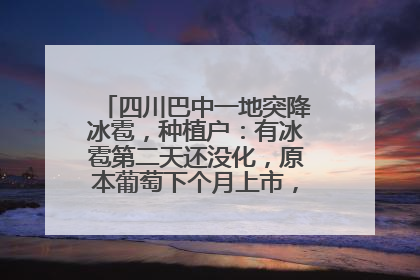 四川巴中一地突降冰雹，种植户：有冰雹第二天还没化，原本葡萄下个月上市，现在全被打落