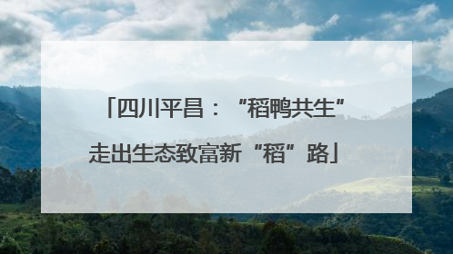 四川平昌：“稻鸭共生”走出生态致富新“稻”路