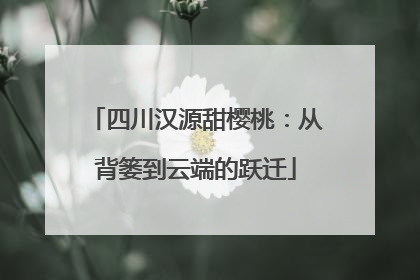 四川汉源甜樱桃：从背篓到云端的跃迁