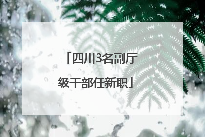 四川3名副厅级干部任新职