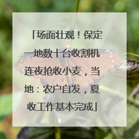 场面壮观！保定一地数十台收割机连夜抢收小麦，当地：农户自发，夏收工作基本完成
