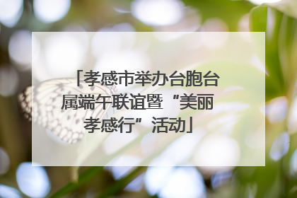孝感市举办台胞台属端午联谊暨“美丽孝感行”活动